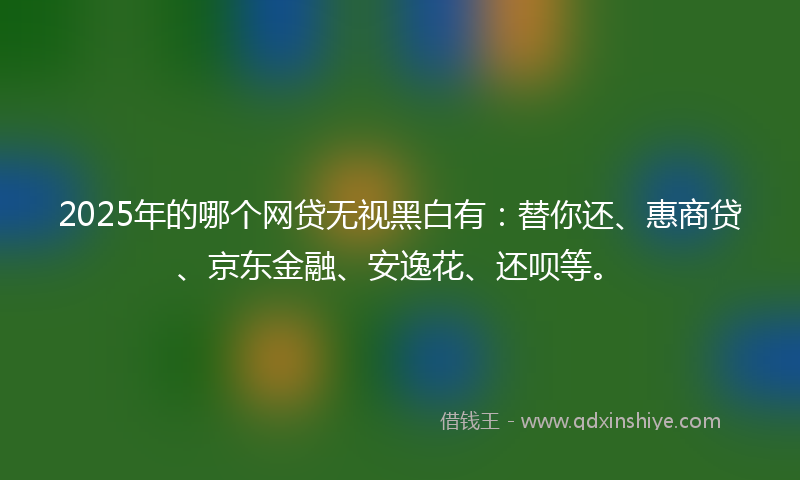 2025年的哪个网贷无视黑白有：替你还、惠商贷、京东金融、安逸花、还呗等。
