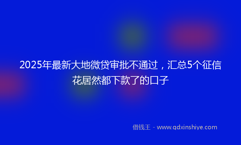 2025年最新大地微贷审批不通过，汇总5个征信花居然都下款了的口子