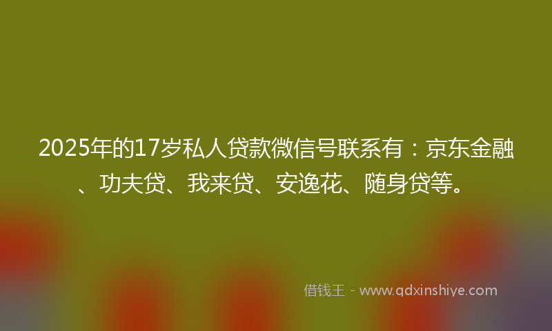 2025年的17岁私人贷款微信号联系有：京东金融、功夫贷、我来贷、安逸花、随身贷等。