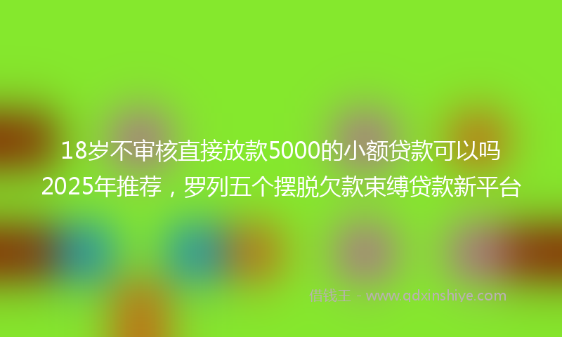 18岁不审核直接放款5000的小额贷款可以吗2025年推荐，罗列五个摆脱欠款束缚贷款新平台