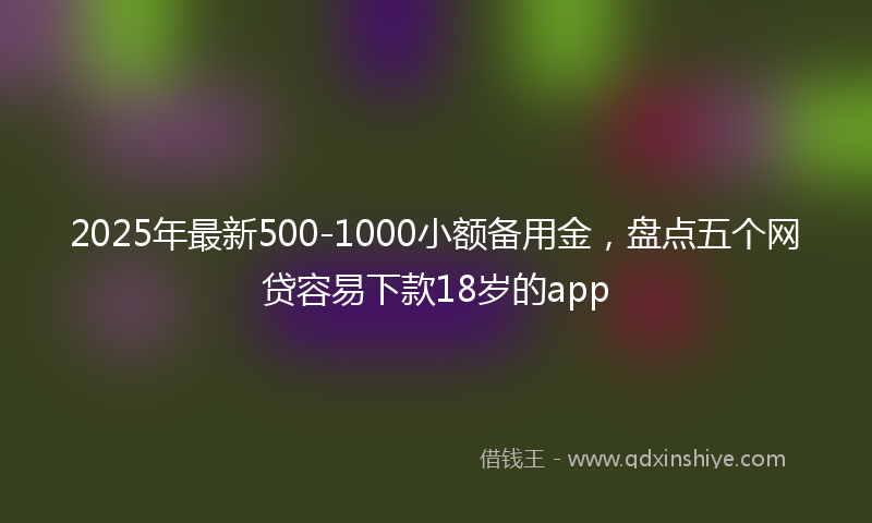 2025年最新500-1000小额备用金，盘点五个网贷容易下款18岁的app