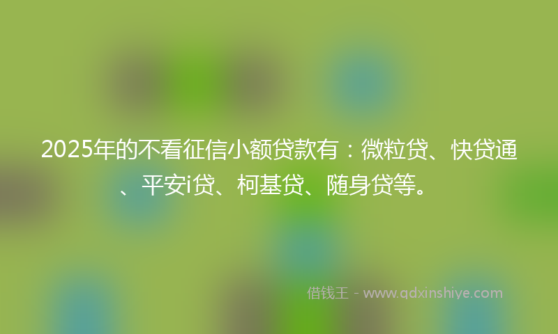 2025年的不看征信小额贷款有：微粒贷、快贷通、平安i贷、柯基贷、随身贷等。