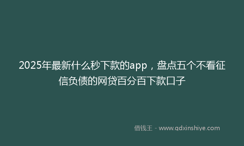 2025年最新什么秒下款的app，盘点五个不看征信负债的网贷百分百下款口子