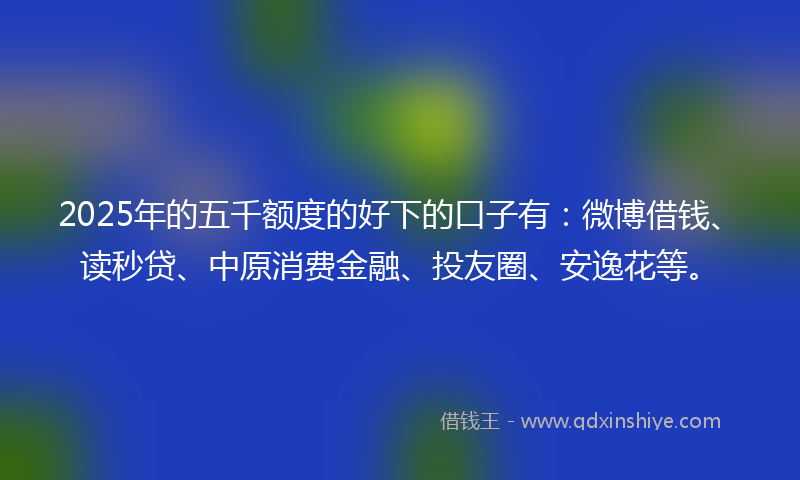 2025年的五千额度的好下的口子有：微博借钱、读秒贷、中原消费金融、投友圈、安逸花等。