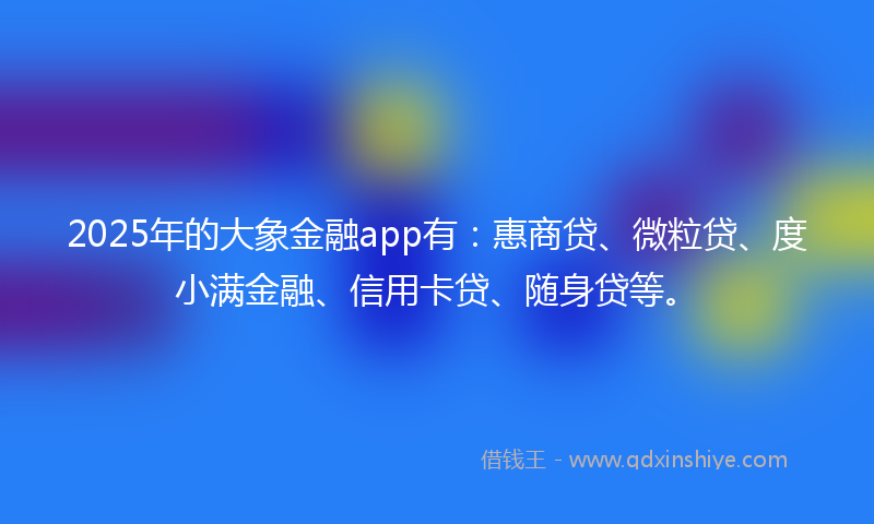2025年的大象金融app有：惠商贷、微粒贷、度小满金融、信用卡贷、随身贷等。