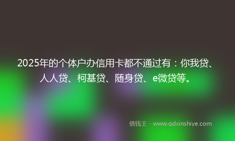 2025年的个体户办信用卡都不通过有：你我贷、人人贷、柯基贷、随身贷、e微贷等。