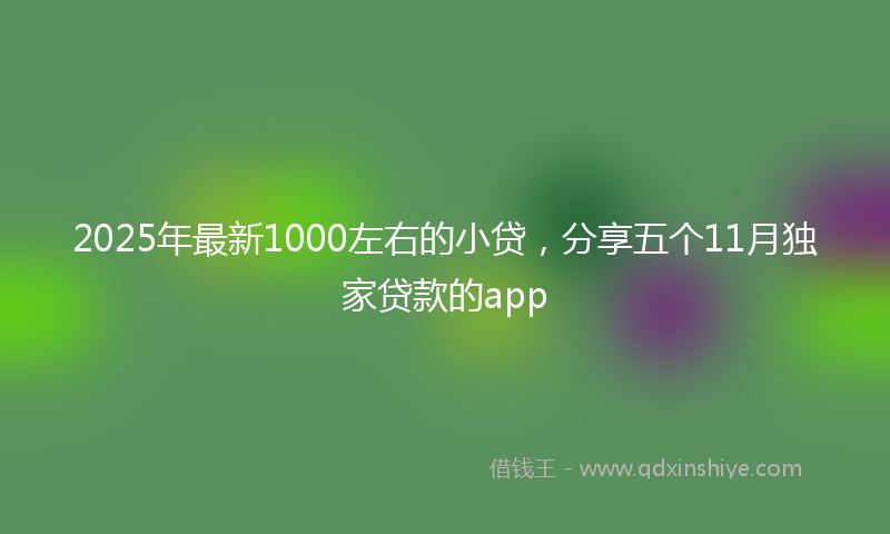 2025年最新1000左右的小贷，分享五个11月独家贷款的app