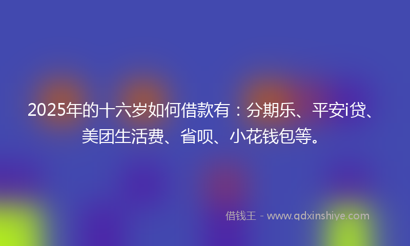 2025年的十六岁如何借款有：分期乐、平安i贷、美团生活费、省呗、小花钱包等。