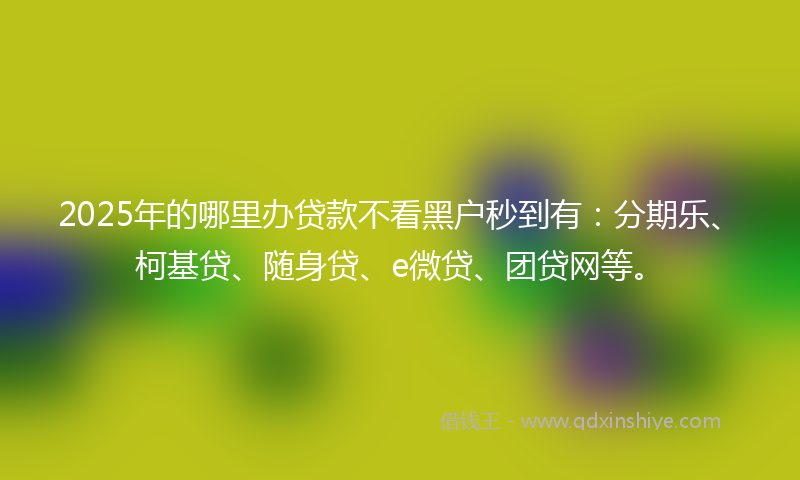 2025年的哪里办贷款不看黑户秒到有：分期乐、柯基贷、随身贷、e微贷、团贷网等。