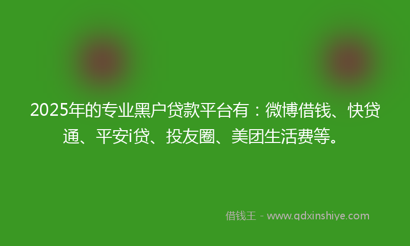 2025年的专业黑户贷款平台有：微博借钱、快贷通、平安i贷、投友圈、美团生活费等。