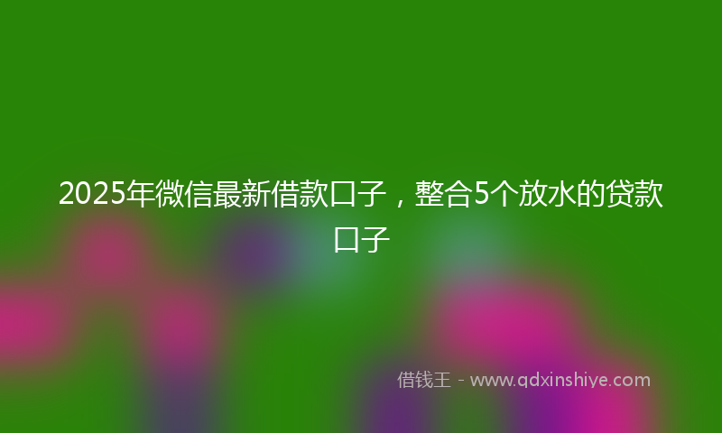 2025年微信最新借款口子，整合5个放水的贷款口子