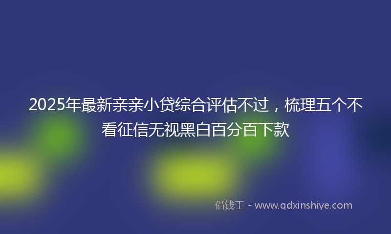 2025年最新亲亲小贷综合评估不过，梳理五个不看征信无视黑白百分百下款