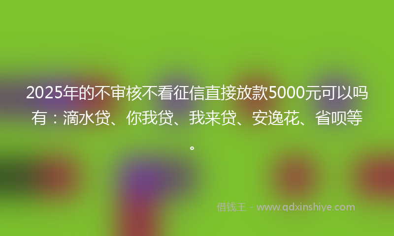 2025年的不审核不看征信直接放款5000元可以吗有：滴水贷、你我贷、我来贷、安逸花、省呗等。