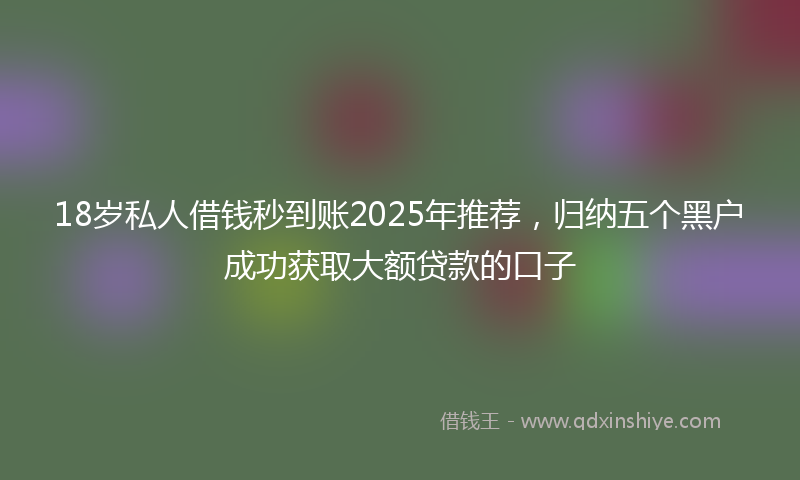 18岁私人借钱秒到账2025年推荐，归纳五个黑户成功获取大额贷款的口子