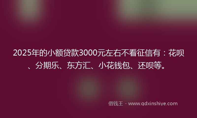 2025年的小额贷款3000元左右不看征信有：花呗、分期乐、东方汇、小花钱包、还呗等。