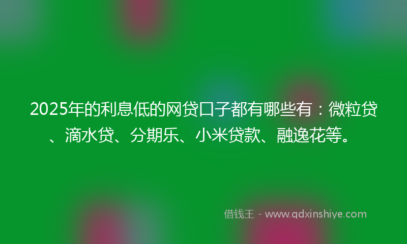 2025年的利息低的网贷口子都有哪些有：微粒贷、滴水贷、分期乐、小米贷款、融逸花等。