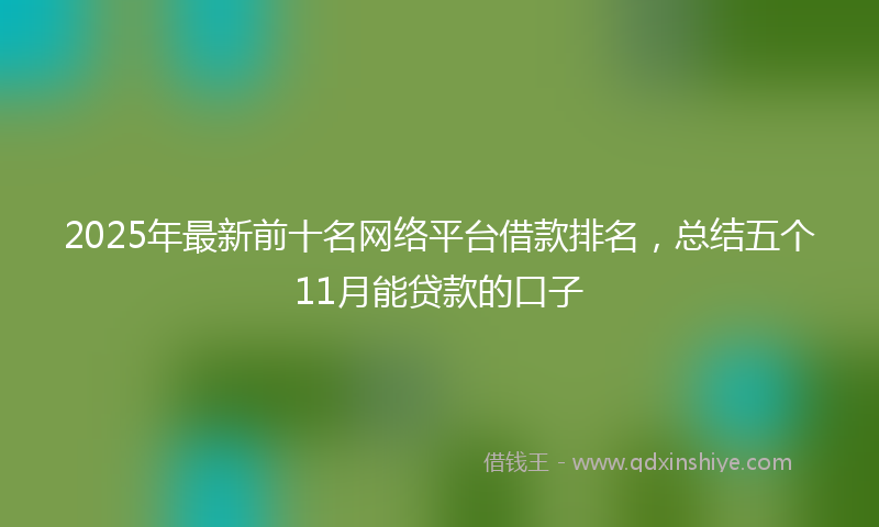 2025年最新前十名网络平台借款排名，总结五个11月能贷款的口子