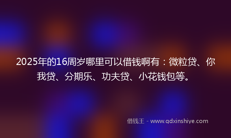 2025年的16周岁哪里可以借钱啊有：微粒贷、你我贷、分期乐、功夫贷、小花钱包等。