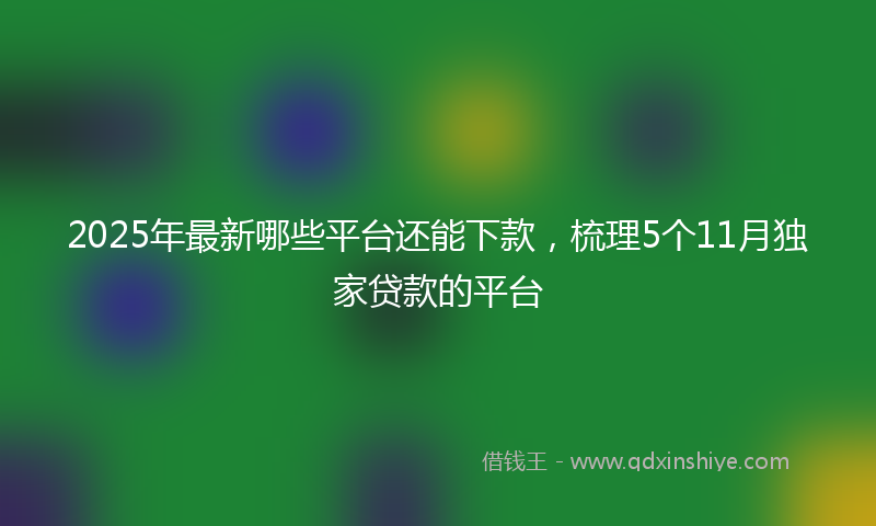 2025年最新哪些平台还能下款，梳理5个11月独家贷款的平台