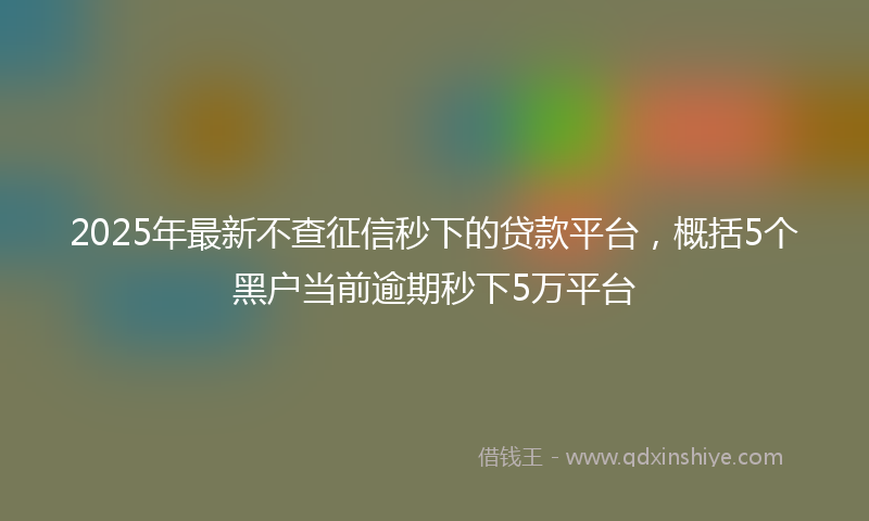2025年最新不查征信秒下的贷款平台，概括5个黑户当前逾期秒下5万平台