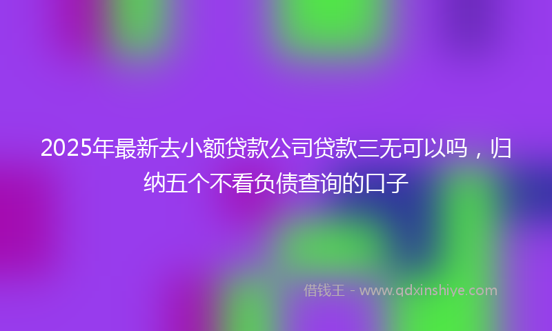 2025年最新去小额贷款公司贷款三无可以吗，归纳五个不看负债查询的口子