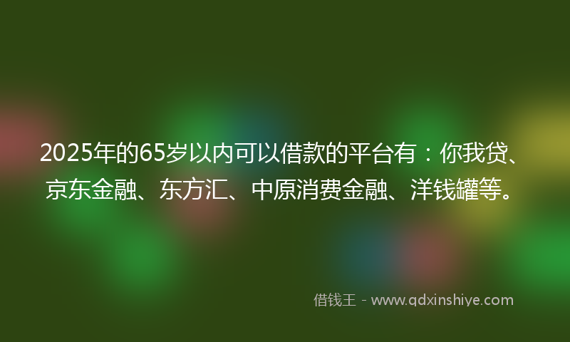 2025年的65岁以内可以借款的平台有：你我贷、京东金融、东方汇、中原消费金融、洋钱罐等。