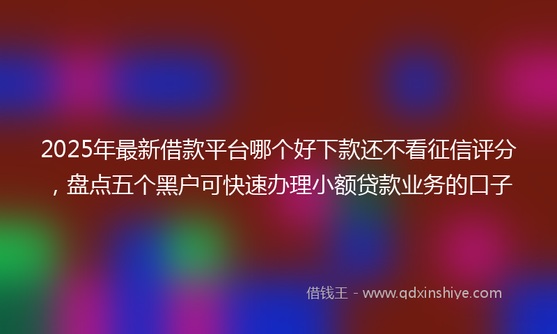 2025年最新借款平台哪个好下款还不看征信评分，盘点五个黑户可快速办理小额贷款业务的口子