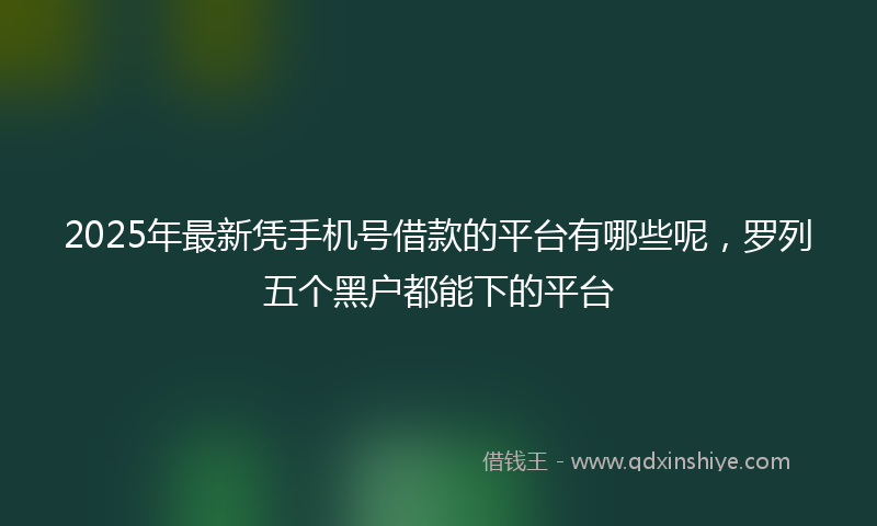 2025年最新凭手机号借款的平台有哪些呢，罗列五个黑户都能下的平台