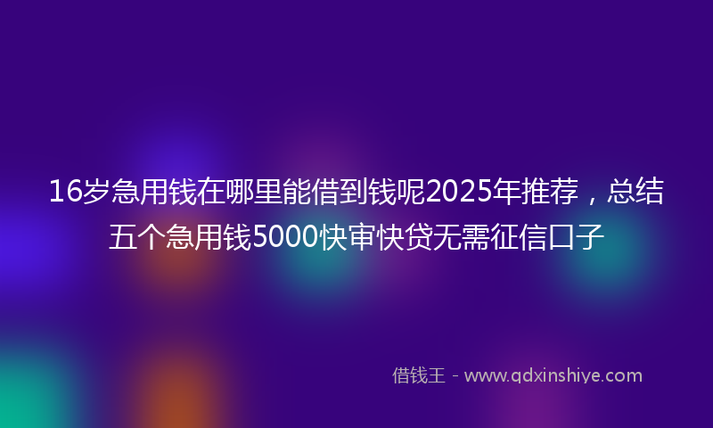 16岁急用钱在哪里能借到钱呢2025年推荐，总结五个急用钱5000快审快贷无需征信口子