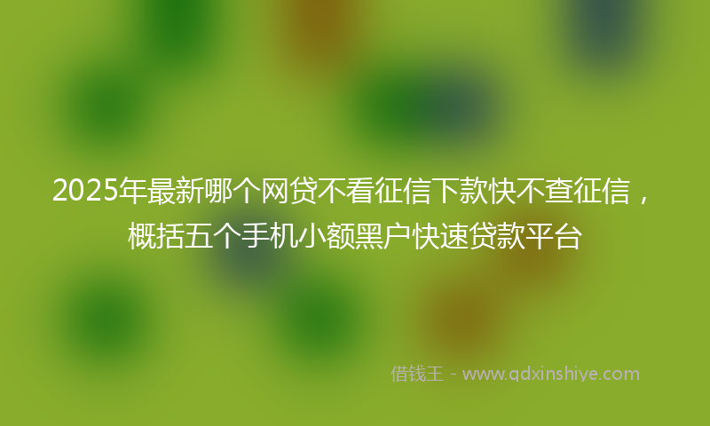 2025年最新哪个网贷不看征信下款快不查征信，概括五个手机小额黑户快速贷款平台
