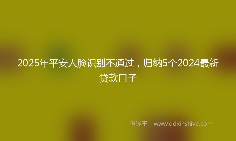 2025年平安人脸识别不通过，归纳5个2024最新贷款口子