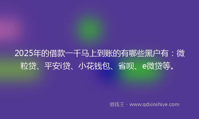 2025年的借款一千马上到账的有哪些黑户有：微粒贷、平安i贷、小花钱包、省呗、e微贷等。