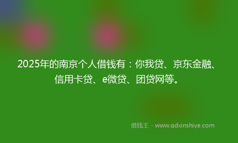 2025年的南京个人借钱有：你我贷、京东金融、信用卡贷、e微贷、团贷网等。
