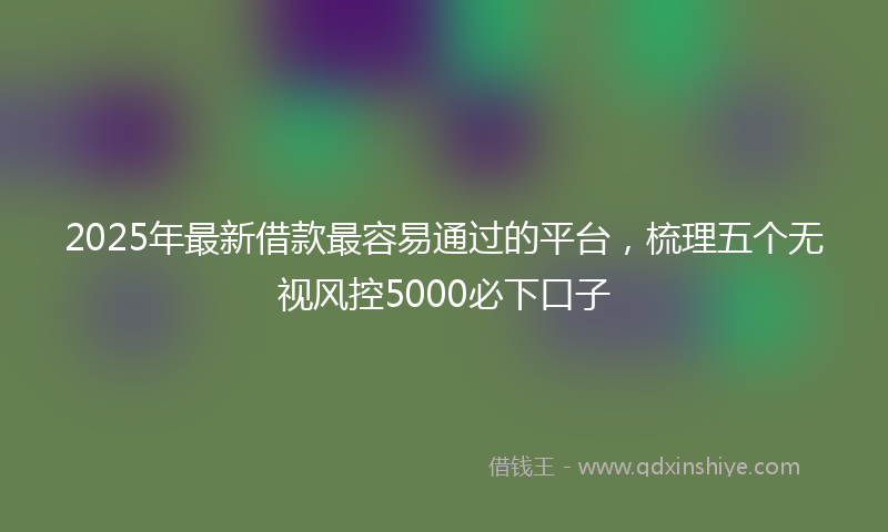 2025年最新借款最容易通过的平台，梳理五个无视风控5000必下口子