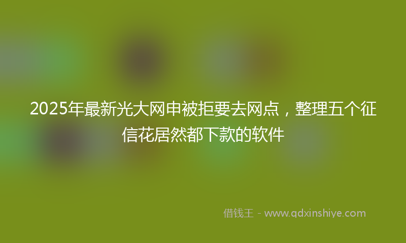 2025年最新光大网申被拒要去网点，整理五个征信花居然都下款的软件