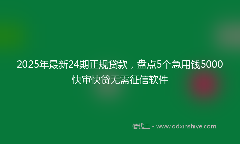 2025年最新24期正规贷款，盘点5个急用钱5000快审快贷无需征信软件