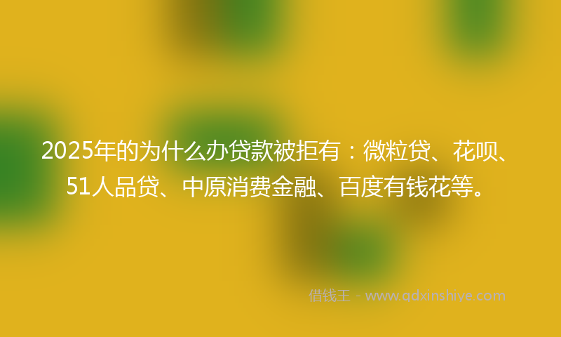 2025年的为什么办贷款被拒有：微粒贷、花呗、51人品贷、中原消费金融、百度有钱花等。