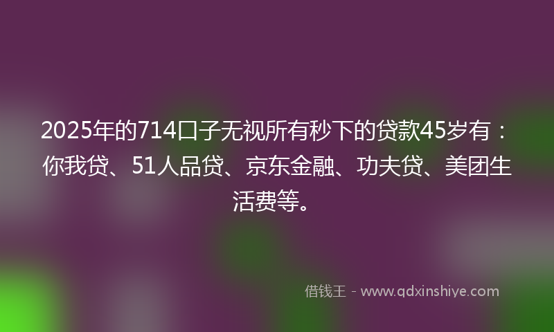 2025年的714口子无视所有秒下的贷款45岁有：你我贷、51人品贷、京东金融、功夫贷、美团生活费等。