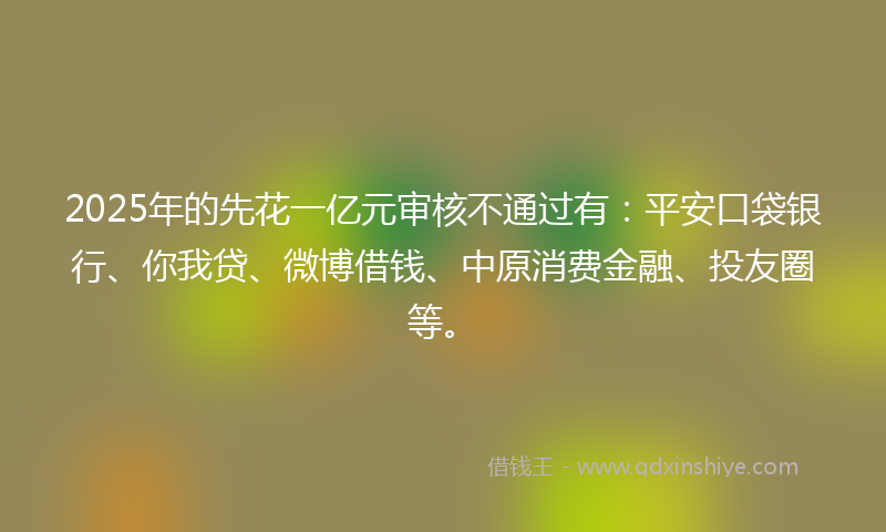 2025年的先花一亿元审核不通过有：平安口袋银行、你我贷、微博借钱、中原消费金融、投友圈等。