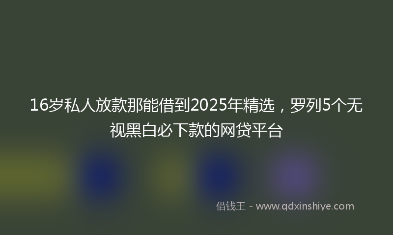 16岁私人放款那能借到2025年精选，罗列5个无视黑白必下款的网贷平台