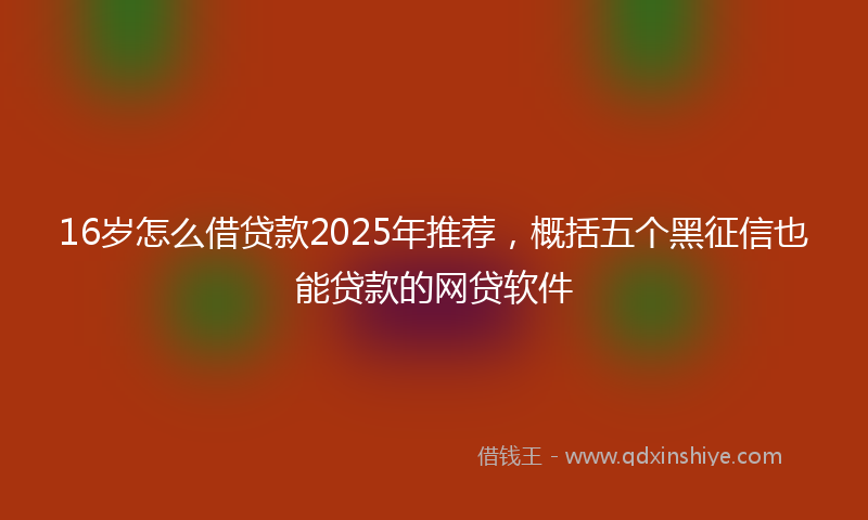16岁怎么借贷款2025年推荐，概括五个黑征信也能贷款的网贷软件