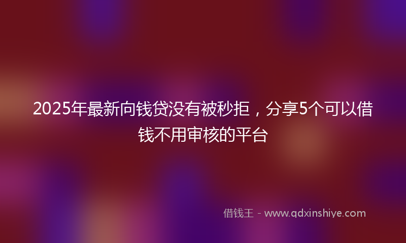2025年最新向钱贷没有被秒拒，分享5个可以借钱不用审核的平台
