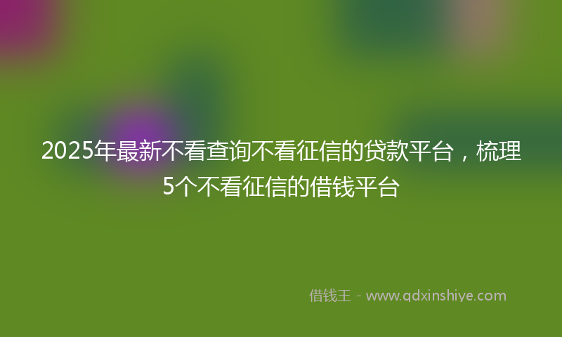 2025年最新不看查询不看征信的贷款平台，梳理5个不看征信的借钱平台