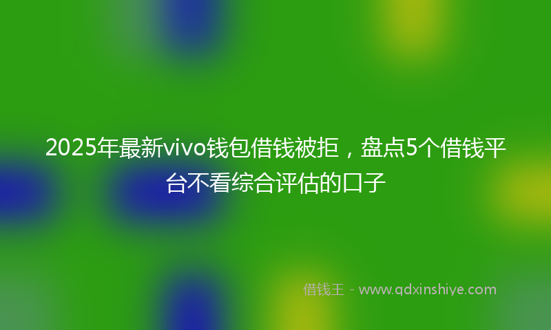 2025年最新vivo钱包借钱被拒，盘点5个借钱平台不看综合评估的口子