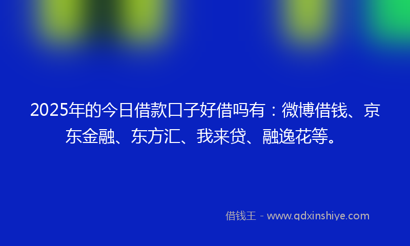 2025年的今日借款口子好借吗有：微博借钱、京东金融、东方汇、我来贷、融逸花等。