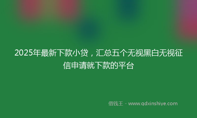 2025年最新下款小贷，汇总五个无视黑白无视征信申请就下款的平台