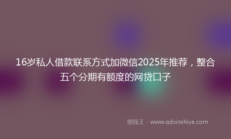 16岁私人借款联系方式加微信2025年推荐，整合五个分期有额度的网贷口子