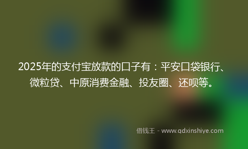 2025年的支付宝放款的口子有：平安口袋银行、微粒贷、中原消费金融、投友圈、还呗等。