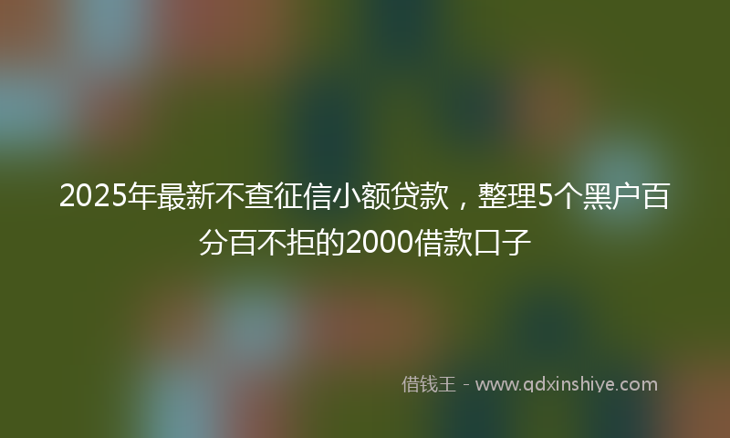 2025年最新不查征信小额贷款，整理5个黑户百分百不拒的2000借款口子