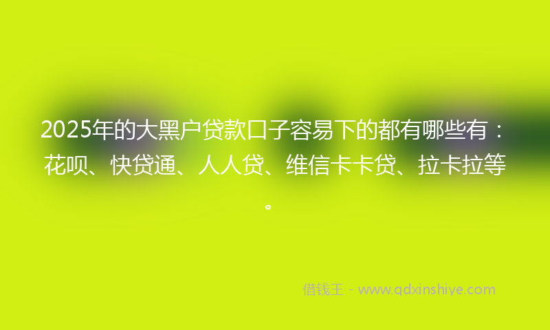 2025年的大黑户贷款口子容易下的都有哪些有：花呗、快贷通、人人贷、维信卡卡贷、拉卡拉等。